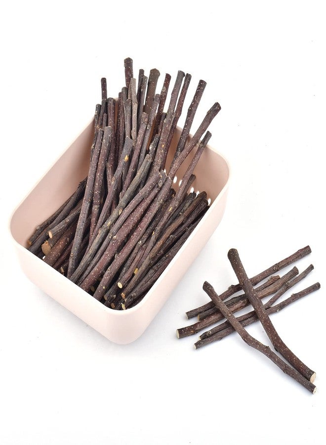 ERKOON Natural Apple Sticks 500g (1.1lb) Small Animals Molar Chew Toys Apple Branch Chew Treats for Hamster Rabbit Chinchilla Bunny Guinea Pig Squirrel - Image 3
